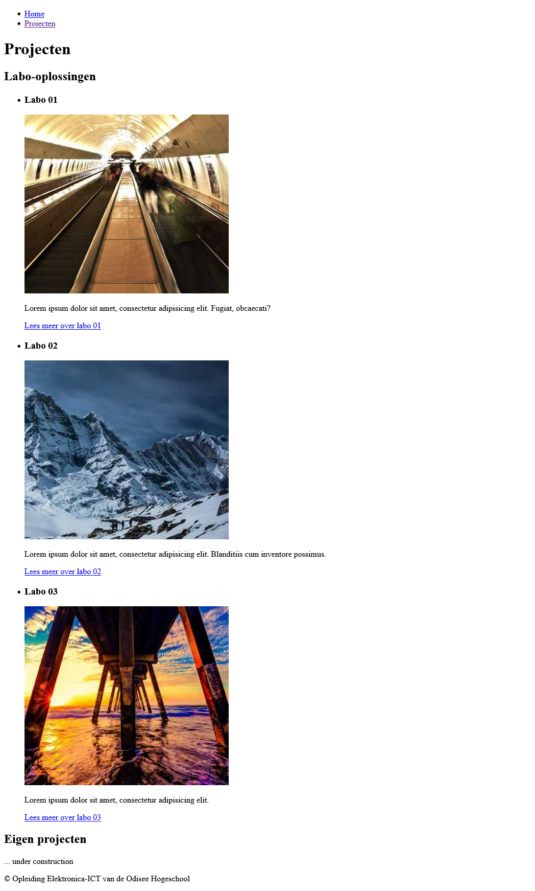 projects pagina opdracht labo 1